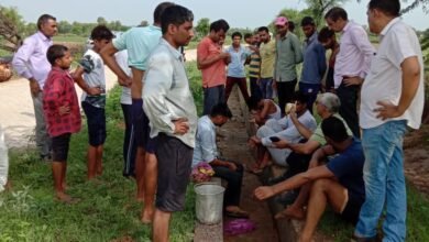 Photo of 700 पौधे लगा, उठाया पर्यावरण की रक्षा का बीड़ा