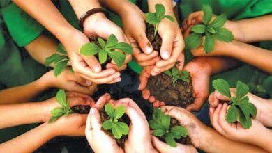 Photo of जिला स्तरीय वन महोत्सव का कार्यक्रम जिला सचिवालय के समीप होगा आयोजित