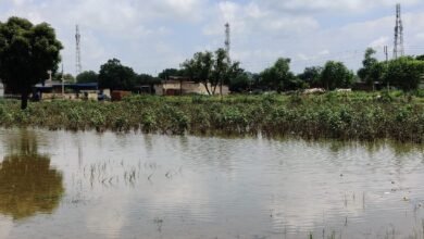 Photo of बरसात से बर्बाद हुई फसल का मुआवजा दे सरकार : चिरंजीव राव