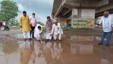 Photo of सरकार की नाकामियों को उजागर करने के लिए रोड में बने गड्ढों में चिरंजीव राव ने किया पौधारोपण